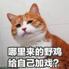 盘点2017十大网络流行语选出,贫穷限制了我的想象
