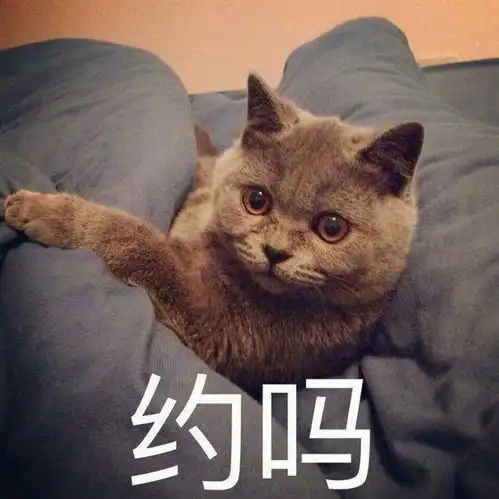 要走的留不住
