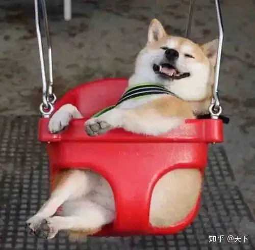 有什么一看就想笑的押韵的沙雕句子
