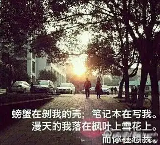 武大三行情书螃蟹在剥我的壳