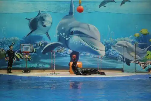 魅力苏心游活动首秀完美携江苏超好玩闪耀南京海底世界
