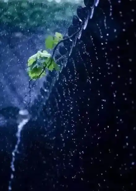 静静的,听雨,听你
