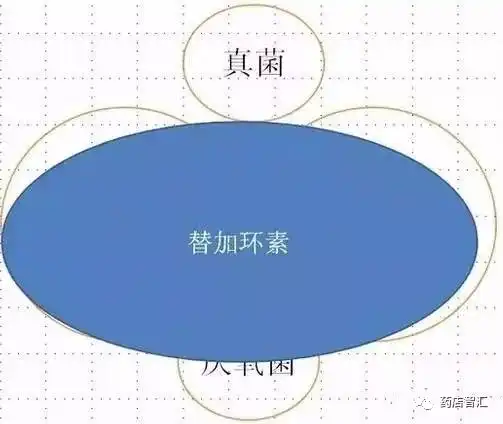全宇宙最简单明了的抗生素图解