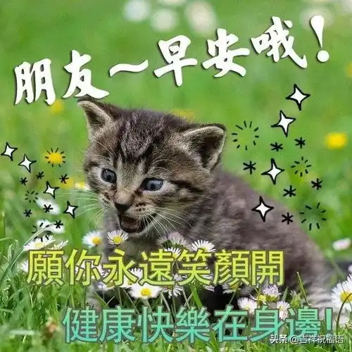 人,活得再漂亮,也会有凄凉路,走得再潇洒,也会有迷茫,早安生活
