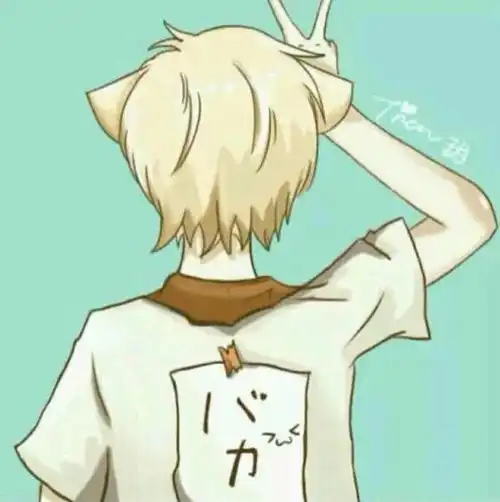 这个有情头么
