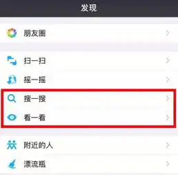 张小龙这一天,小程序这一年
