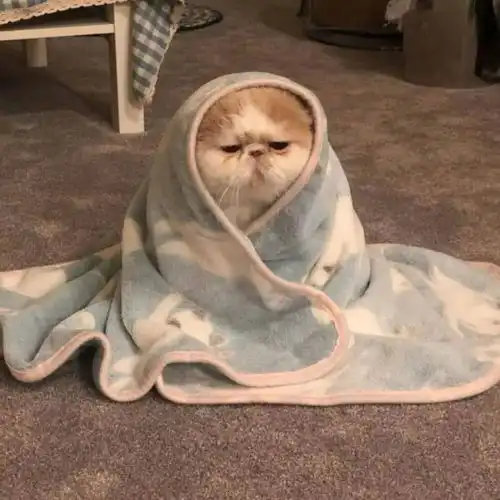 头像丨帮你远离异性的智慧型头像
