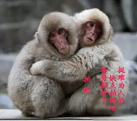 温馨一瞬附精彩多图初荷
