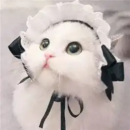 讲真的,痔疮有公母之分吗
