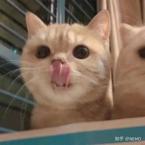 不再当舔狗,如何让她在乎你
