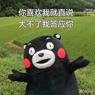 双十一脱单必备指南附表白表情包
