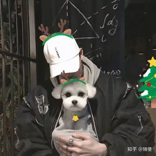 喜欢一个男孩子到底有多累
