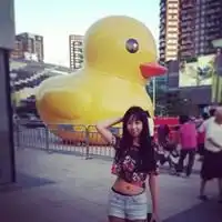 有那种鸭子和人的头像么下面哪种