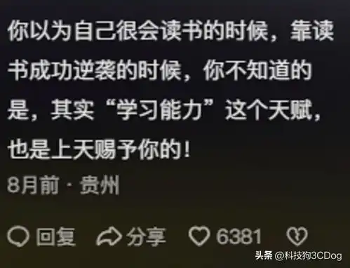哪一刻让你意识到这就是命网友自嘲式回复,评论区过于真实
