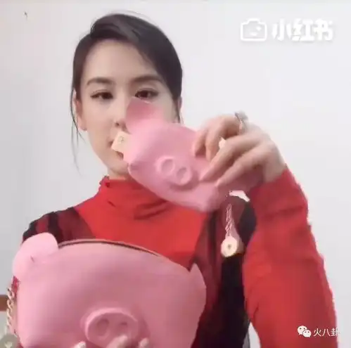 带货女王黄圣依小红书晒出猪猪开运好物,时尚喜庆获追捧