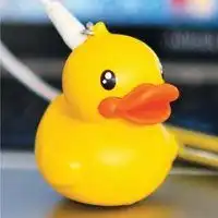 小鸭子头像图片微信头像图片大全
