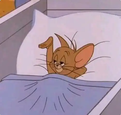 杰瑞才是我鼠年最想成为的人生赢家
