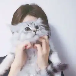 女生头像高清bygalee

