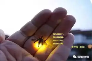 高考结束了,让我们放飞心情,相约美丽的东江湖
