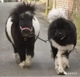 omg撞衫了谁丑谁尴尬,哼

