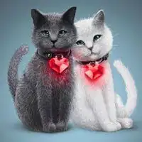 超萌猫咪情侣头像一对两张微信头像图片大全
