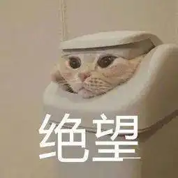 花了一大大大笔笔笔钱出国留学,快要破产了,不如做个打工人
