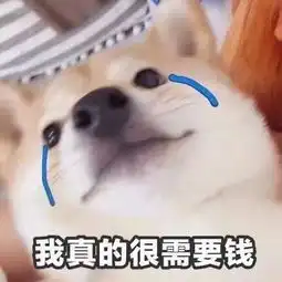 最低4.6,上海气温开启过山车模式
