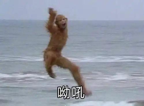 为什么很多女生表情包很迷

