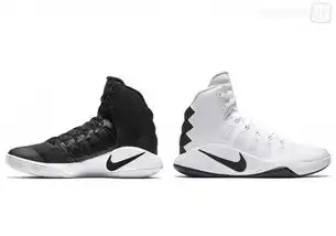 一阴一阳,nikehyperdunk2016黑白两款亮相