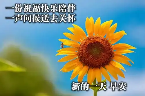 精美的早安图片,温馨的早安问候语,最美的祝福送给亲爱的朋友
