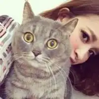 微信头像动物猫
