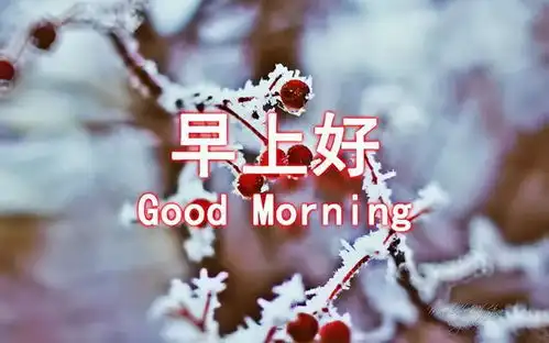 早安问候语动态表情图片清晨祝福朋友一天好心情

