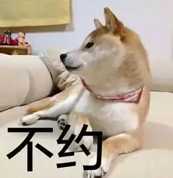 柴犬表情包,有谁需要快拿走,不用谢
