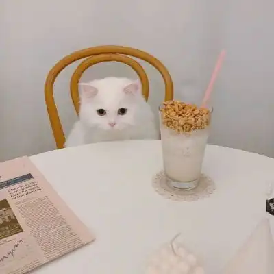 小猫猫可爱头像猫的眼睛里是一风景静物头像我要个性网
